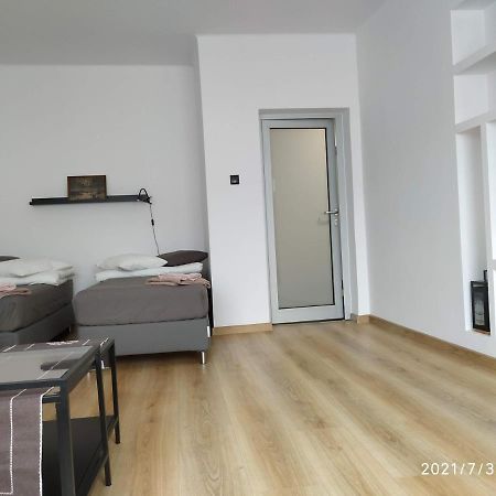 Apartament Przy Parku Srodmiescie 格但斯克 外观 照片