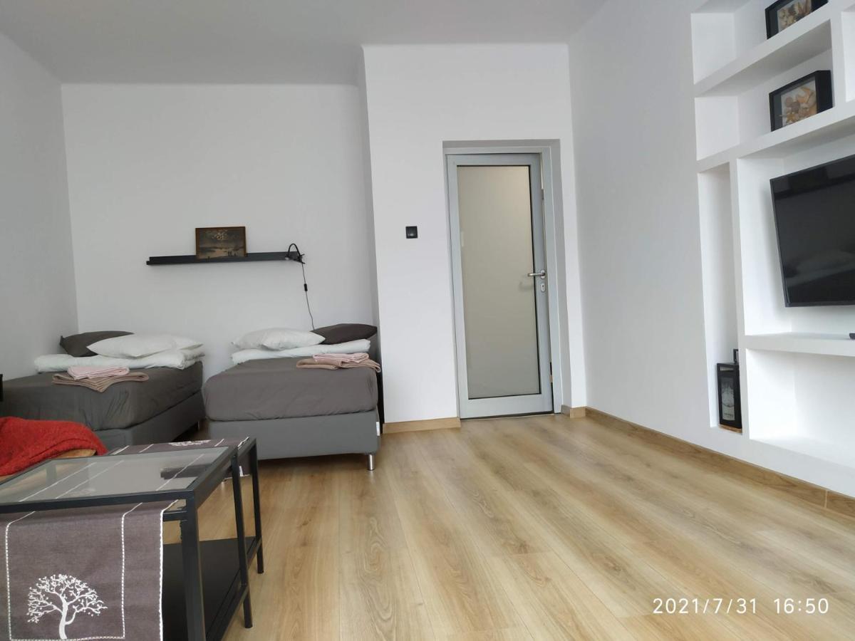 Apartament Przy Parku Srodmiescie 格但斯克 外观 照片