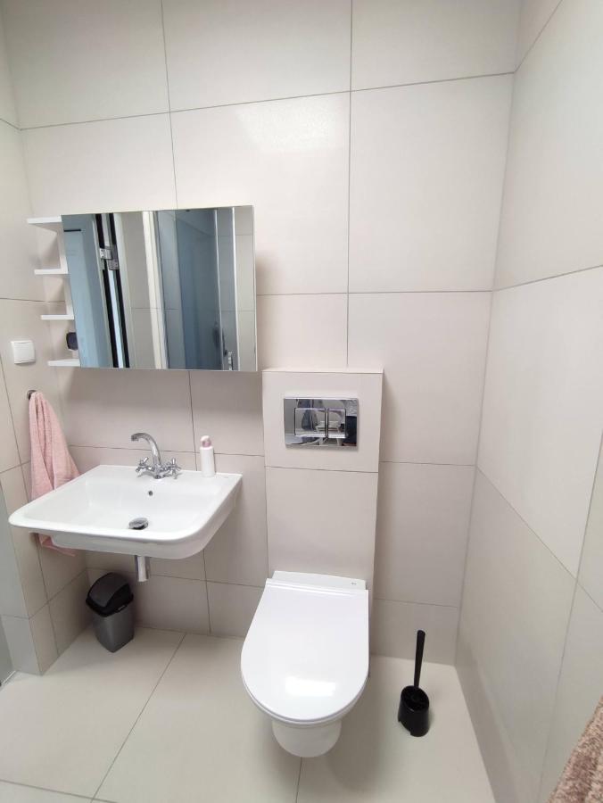 Apartament Przy Parku Srodmiescie 格但斯克 外观 照片