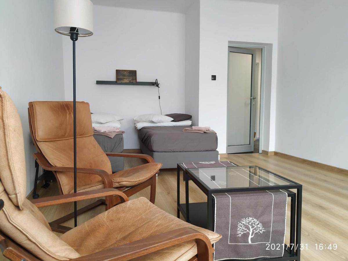 Apartament Przy Parku Srodmiescie 格但斯克 外观 照片