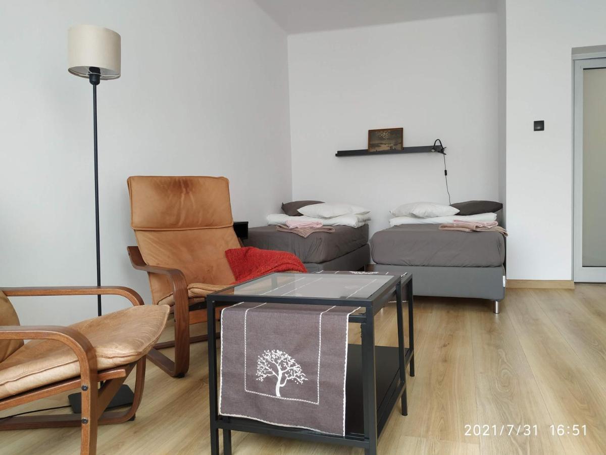 Apartament Przy Parku Srodmiescie 格但斯克 外观 照片